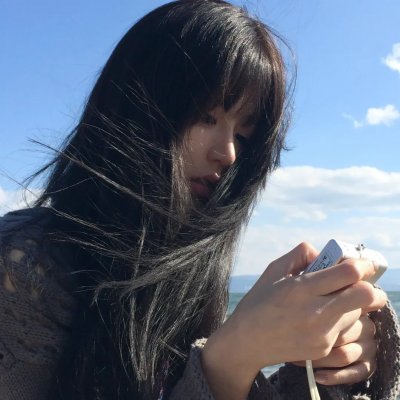 公主复仇者